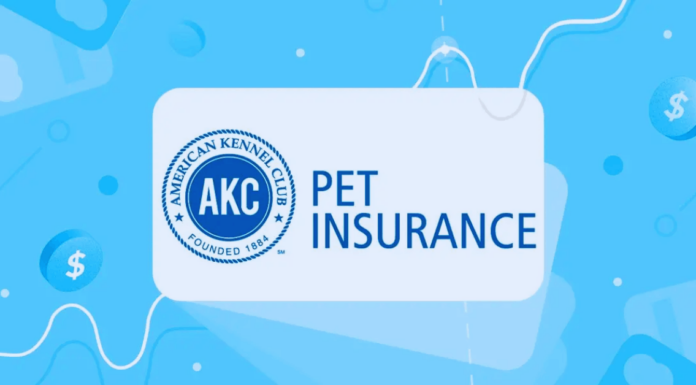 How to Easily Obtain AKC Pet Insurance for Your Pet